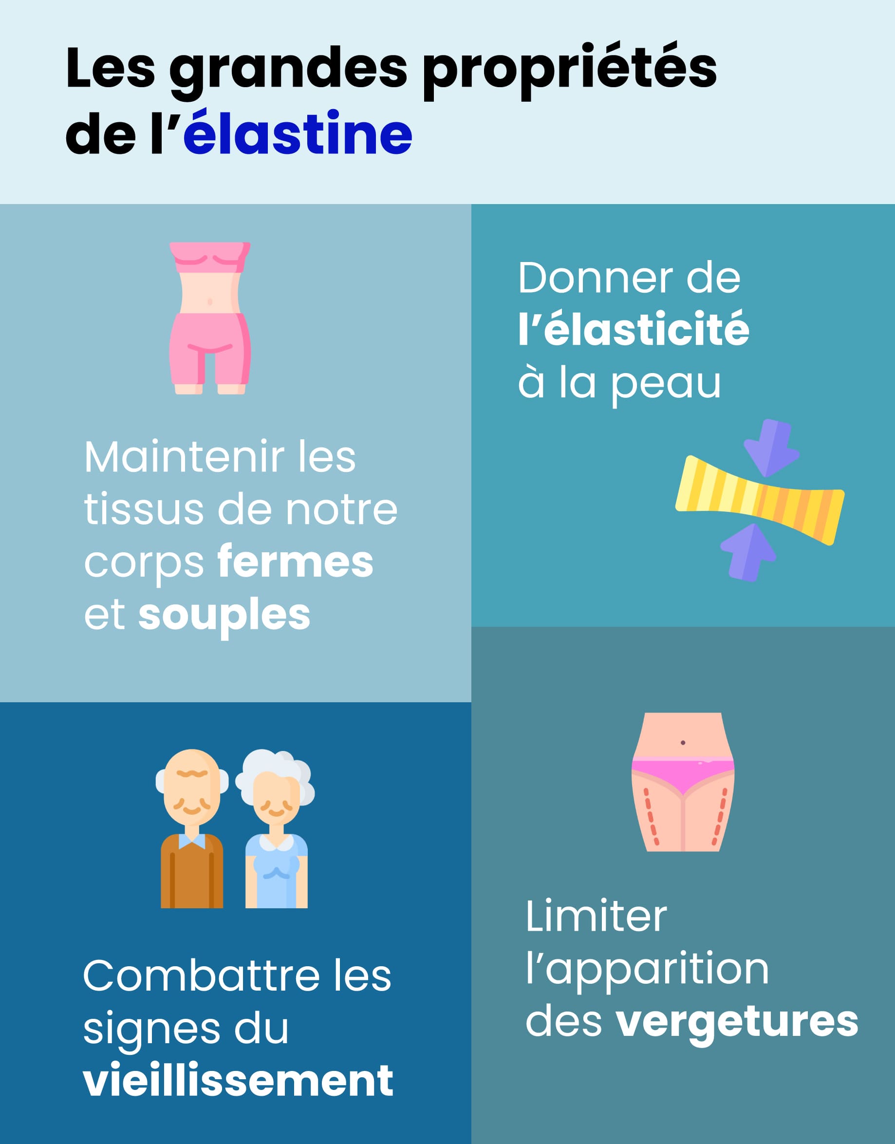 Infographie présentant les grandes propriétés de l'élastine : - Maintenir les tissus de notre corps fermes et souples, - Combattre les signes du viellissement, - Limiter l'apparition des vergetures, - Donner de l'élasticité