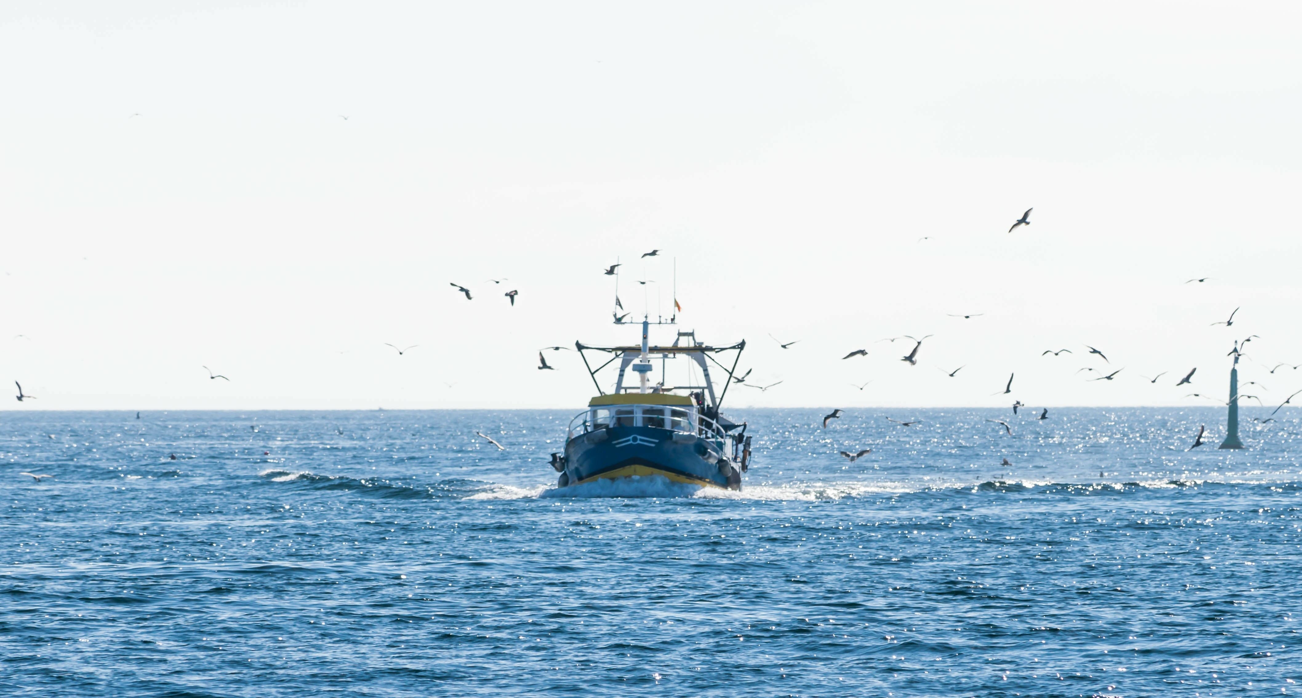 bateau en mer